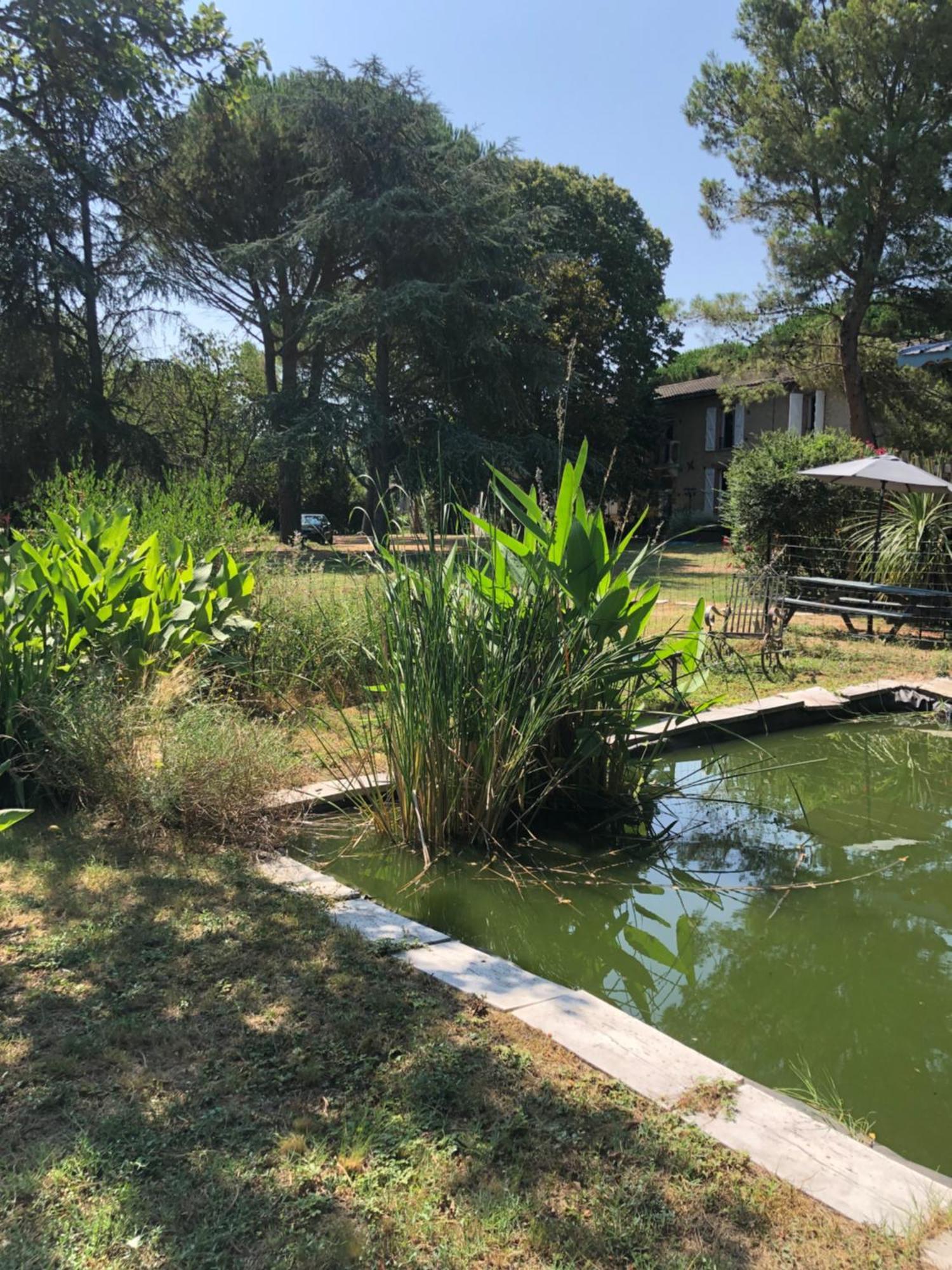 La Bastide De Negra Acomodação com café da manhã Montesquieu-Lauragais Exterior foto
