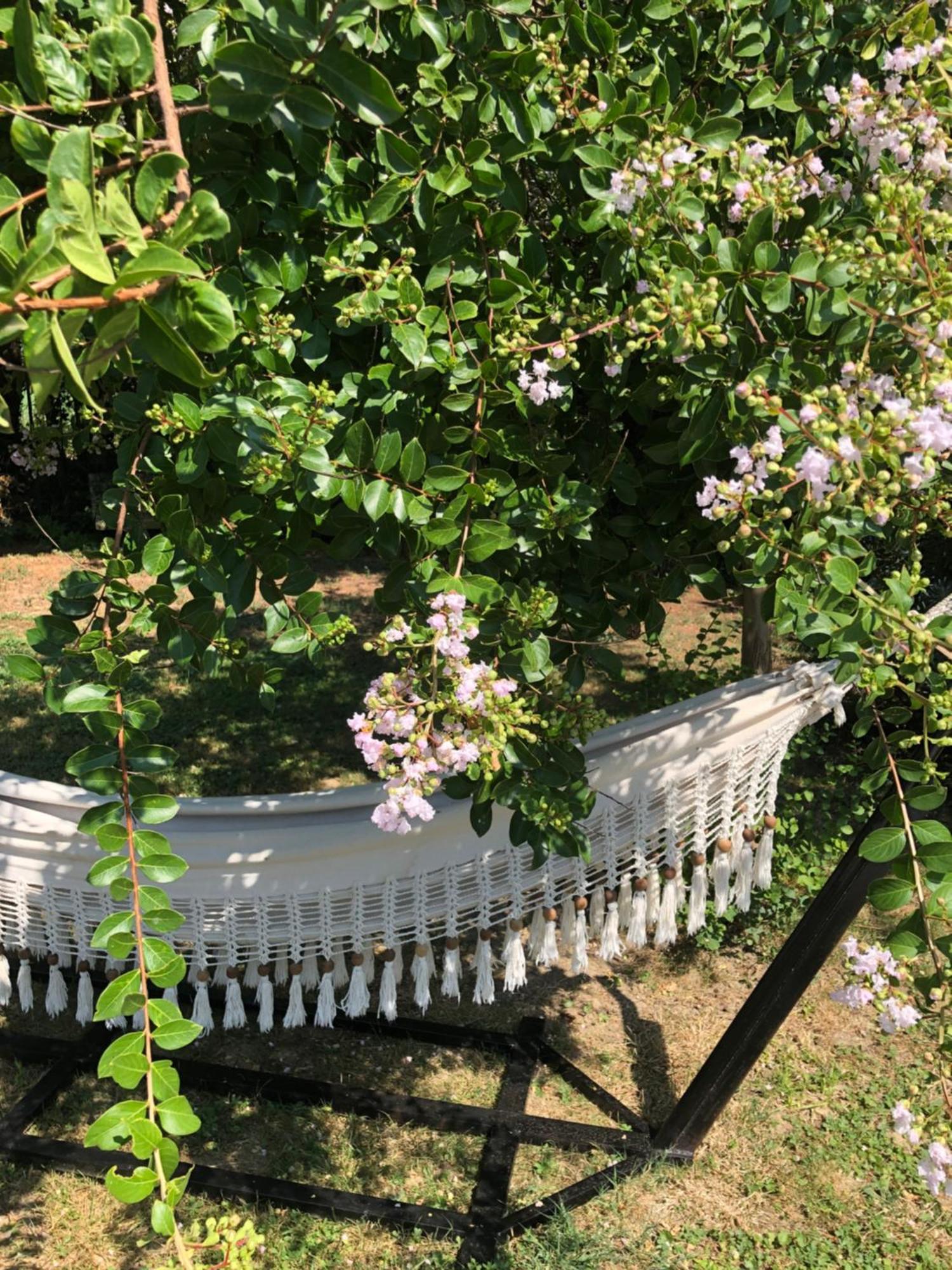 La Bastide De Negra Acomodação com café da manhã Montesquieu-Lauragais Exterior foto